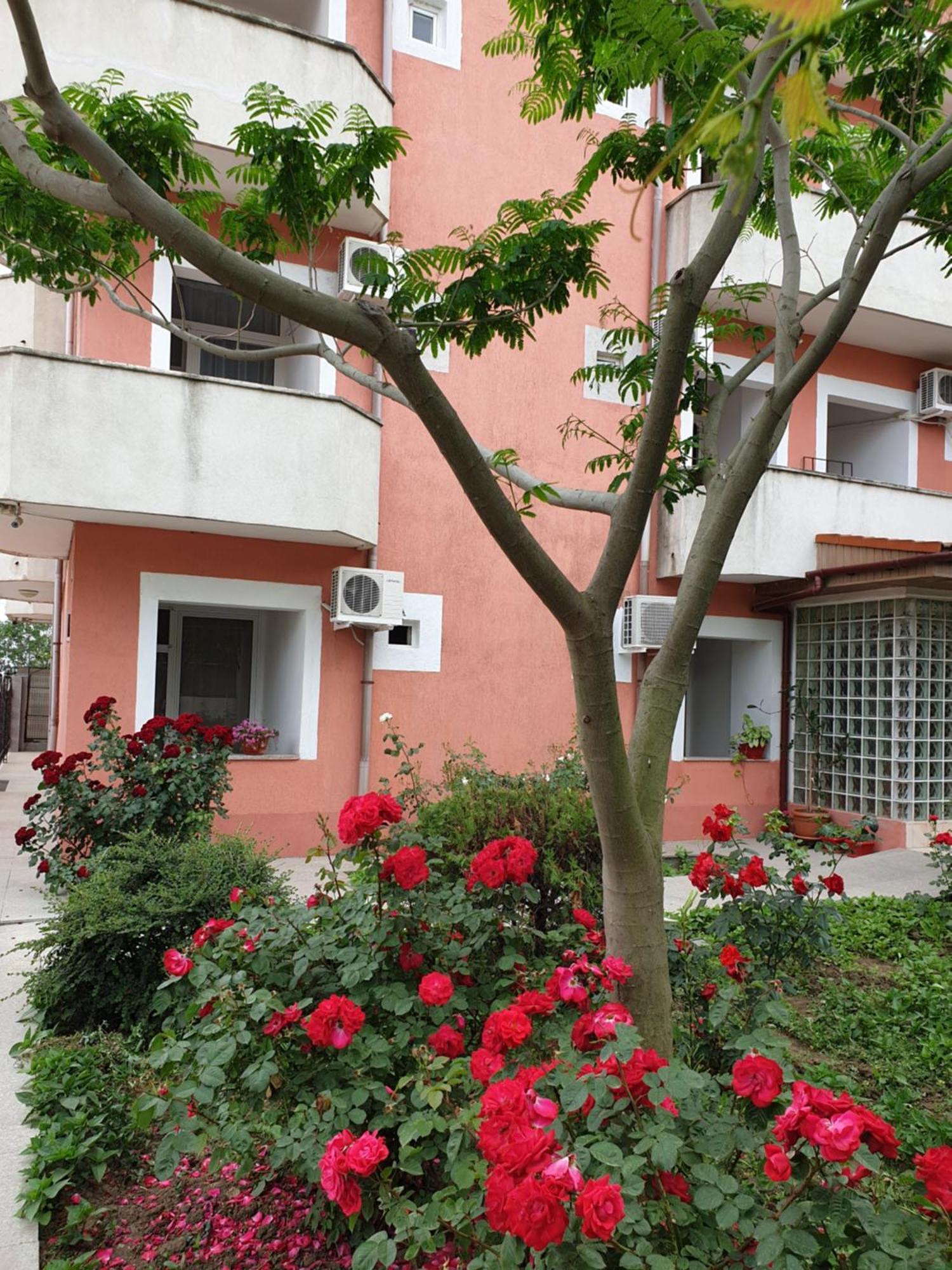 Hotel Laguna Eforie Nord Dış mekan fotoğraf